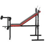 Weight Bench, Multi-Functional Adjustable Weight Bench Press for Full Body Workout, 380lbs Exercise Sit up Bench for Home Gym Strength Training, Flat Bench with Quick Folding & Fast Adjustment