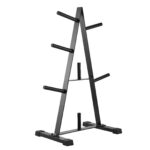 Weight Plate Rack, A Frame Weight Plate Tree for 1-Inch Weight Plates, Standard Weight Plate Tree, 500 lbs Load Capacity Weight Storage Holder, Home Gym Barbell Rack Storage Stand, Black